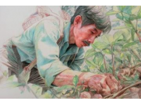 挑选茵陈、摘柳芽、挖薤白的温馨日常体验最纯粹的乡村生活