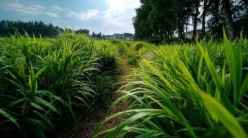 前几天,我们进行了一场说走就走的旅行---内蒙古4日行