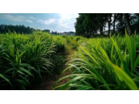 前几天，我们进行了一场说走就走的旅行---内蒙古4日行