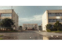 徐汇上汇实验学校2024摇号录取率(可摇号入学的四个街镇)