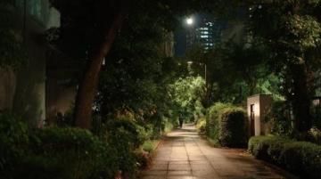 太阳能路灯智能控制原理与功能详解