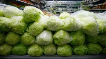 神秘卤菜店的背后真相:方师傅的惊人秘密曝光了!
