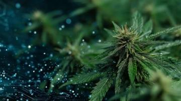 全人培养视阈下常识教育的功能定位与实现路径探析