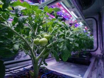 全人培养视阈下常识教育的功能定位与实现路径探析