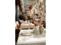 探店春风十里不如你觅一口春意解锁京城新晋赏花泡茶好去处