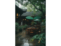 重庆美食指南：舌尖之旅