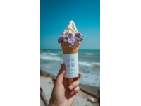 温州：东南海滨美食城，山海交融味蕾盛宴