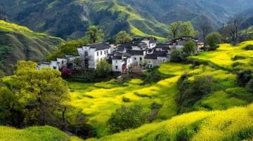 云南春天寻味指南:美景与美食共赏之旅