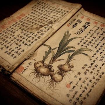 中医养生知识科普讲座(中医养生知识科普)