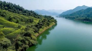 武汉之旅:不可错过的经典景点和美丽风光