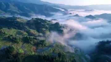 商洛位于陕西省东南部，地处秦岭腹地，饮食文化融合了陕南农家风味与南北特色