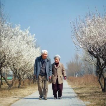 深圳定居适宜老年人吗?宜居分析及优待政策解读