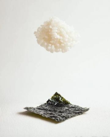 冬季推荐食材之九:海参