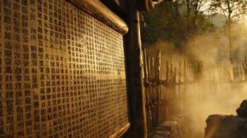 广西崇左:山乡艾草香悠悠