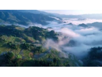 商洛位于陕西省东南部，地处秦岭腹地，饮食文化融合了陕南农家风味与南北特色