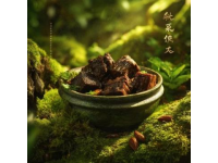 跨越山海的家乡味：潮汕美食俘获全球华人心