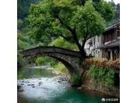 柳州热门旅游住宿指南：精选酒店推荐