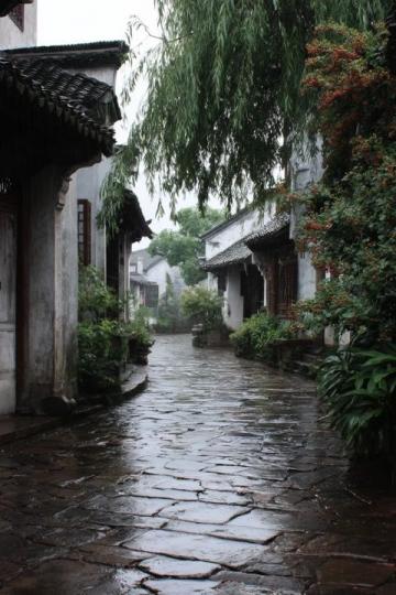 以下是一些上海的旅游路线推荐