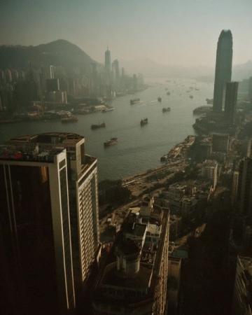 香港鼠患严峻:每捉一只老鼠成本约10880元,引发热议