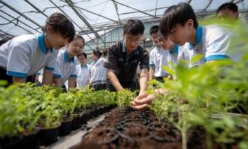 大庆兰德学校刘禹贝(大庆兰德学校学生植树)
