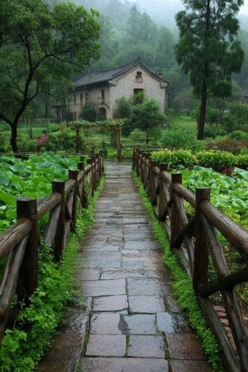 雨水节气养生指南：东北地区适用的中医保健策略