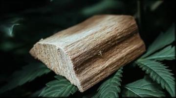 揭秘木皮:种类解析与特性详解