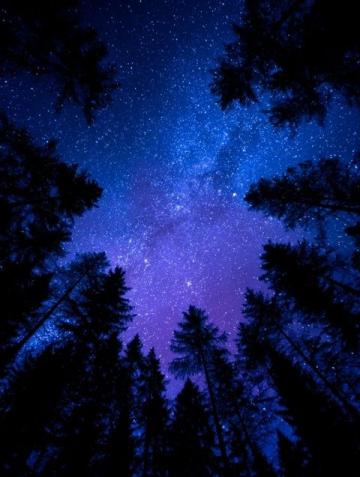 暗香满天，夜色更深