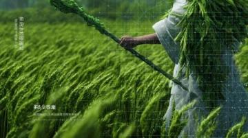 清明节龙岩三日游攻略及避雷指南