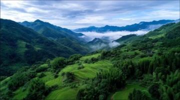探索潜江之美:湖北之旅指南