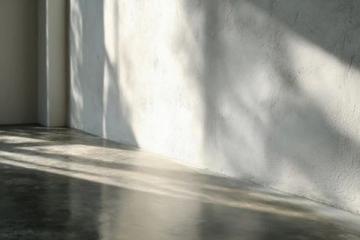 在家如何给兔子洗澡？冷水澡这样做，兔兔舒服不抗拒！