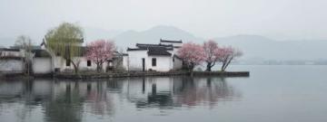 两日游路线:武大樱花+东湖绿道,这样玩不绕路!