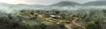 樊俊的高山农场:从药材种植到生态养殖的致富之路