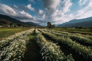 西双版纳最美乡村——曼远村游记