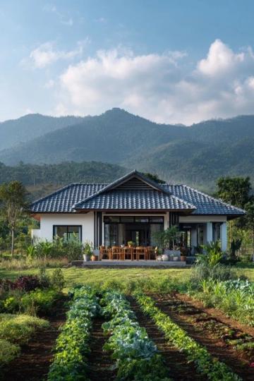 樊俊的高山农场:从药材种植到生态养殖的致富之路
