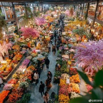 亚明农贸市场:沈阳皇姑区的繁华记忆与市井生活风情