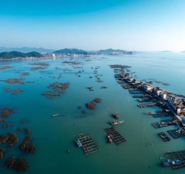 三亚之旅:十天内发现景区冷清与变化
