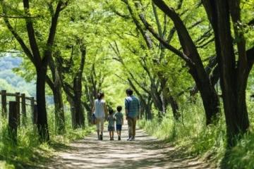 500元环游东日本！JR东日本平日旅行优惠票限时发售
