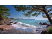 荣成海边拍照争议：禁令引发热议，平衡旅游管理与公众权利成焦点