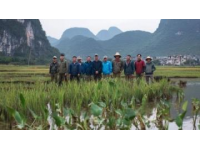 云南元阳梯田深度游攻略