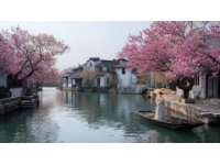 北京顺义一日游攻略：花海摄影、滨水休闲、星空露营全攻略