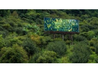 浙西南山区的诗意栖居地——松阳