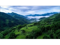 探索潜江之美：湖北之旅指南