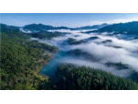 遇见抚仙湖的蓝：澄江旅游攻略