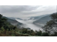 清明假期山城踏青记：十日悠然时光，探访三潭风景区美景