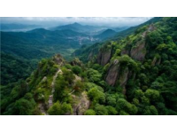 郓城：千年古县的魅力之地
