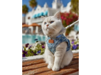 海口卡帕多奇亚餐厅的银渐层萌猫