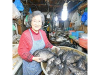 30元一条的无刺全肉鱼，营养丰富补脑佳品最适合孩子吃