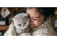 新手养猫必看：确保猫咪健康成长的经验分享