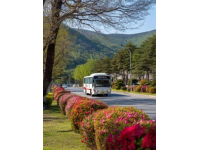 500元环游东日本！JR东日本平日旅行优惠票限时发售