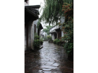 以下是一些上海的旅游路线推荐